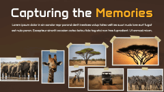 Safari Theme PPT Slide 13