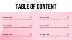 D2C Skincare Brand Pitch Deck PPT Slide 2