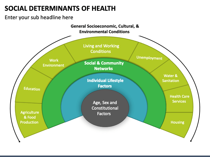 Social Determinants Of Health Powerpoint Template Ppt Slides 8567