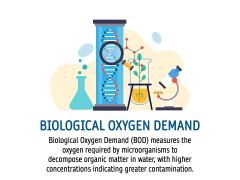 Biological Oxygen Demand PowerPoint Template and Google Slides Theme