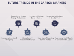 Carbon Markets PPT Slide 6
