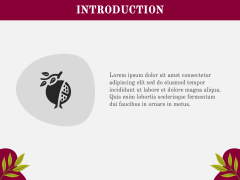 Yalda Night PPT Slide 4