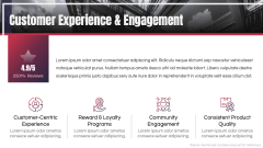 Brand Overview PPT Slide 11