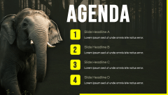 Elephant Theme PPT Slide 2