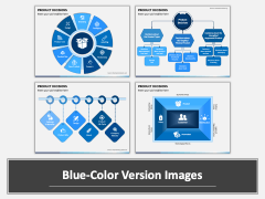 Product Decisions PPT Combined