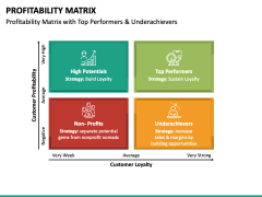 Profitability Matrix PowerPoint and Google Slides Template - PPT Slides