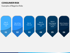 Consumer Risk PPT Slide 6