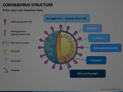 Coronavirus Structure Animated Presentation - SketchBubble
