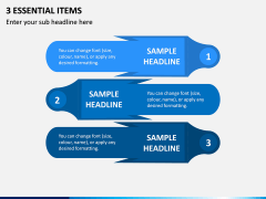 3 Essential Items PPT Slide 1