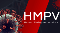Human Metapneumovirus (HMPV) PPT Slide 1