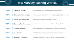 Monkey Testing PPT Slide 4