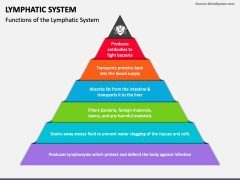 Lymphatic System PPT Slide 2