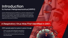 Human Metapneumovirus (HMPV) PPT Slide 2