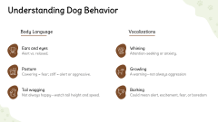 Dog Training Presentation Theme PPT Slide 5