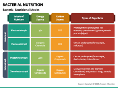 Bacterial Nutrition PowerPoint and Google Slides Template - PPT Slides