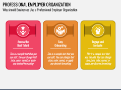 Professional Employer Organization PPT Slide 3