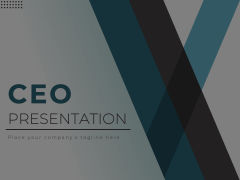 CEO Presentation Animated Presentation - SketchBubble