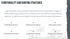 Wolf Theme PPT Slide 10