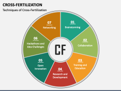 Cross-Fertilization PPT Slide 2