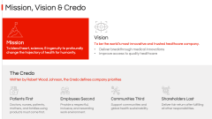 Johnson & Johnson Case Study PPT Slide 4