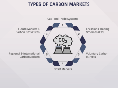 Carbon Markets PPT Slide 3