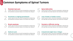 Spinal Tumor PPT Slide 5