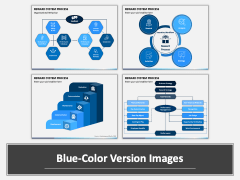 Reward System Process PPT Combined
