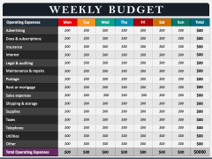 Weekly Budget PPT Slide 4