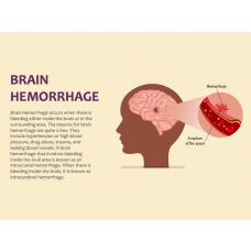 Brain PowerPoint & Google Slides Templates