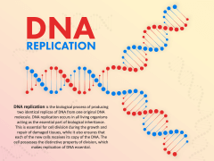 powerpoint presentation on dna replication