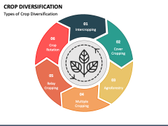 Crop Diversification PowerPoint And Google Slides Template - PPT Slides