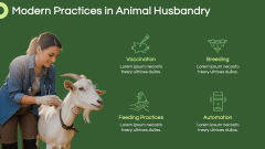Animal Husbandry Presentation Theme PPT Slide 8