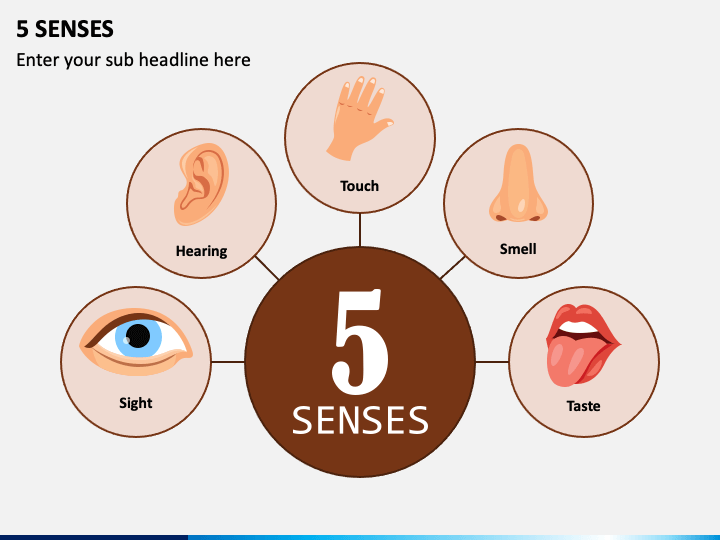 presentation of 5 senses