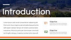 India Case Study PPT Slide 3