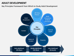 Adult Development PPT Slide 7