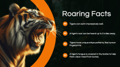 Tiger Presentation PPT Slide 9