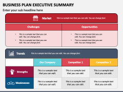 Business Plan Executive Summary PPT Slide 4