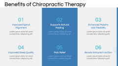 Chiropractic Therapy PPT Slide 9