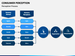 Consumer Perception PPT Slide 4
