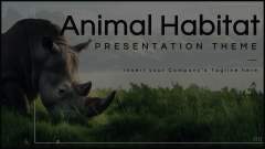 Animal Habitats Animated Presentation - SketchBubble