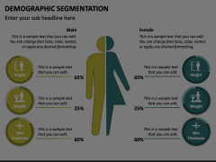 Demographic Segmentation Animated Presentation - SketchBubble