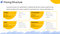 Cleaning Service Company Profile PPT Slide 12