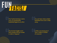 Fun Facts - Typography for PowerPoint and Google Slides - PPT Slides