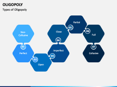 Oligopoly PPT Slide 2