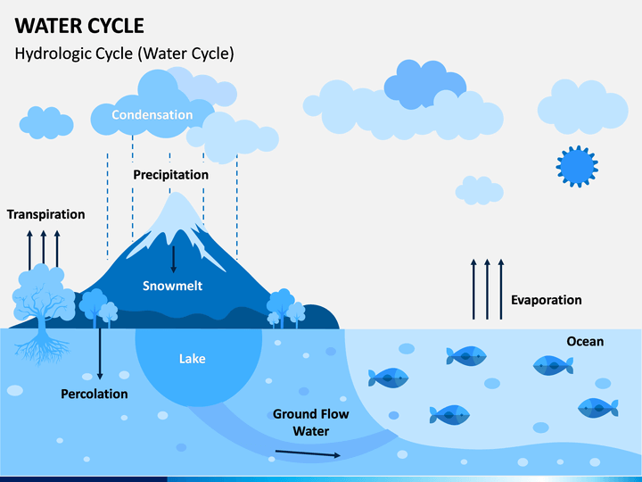 Water Cycle PowerPoint Template