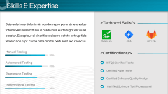 Software Tester Profile PPT Slide 6