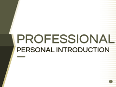 Professional Personal Introduction PowerPoint and Google Slides ...