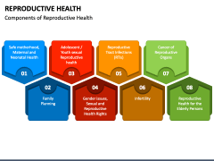 Reproductive Health PowerPoint Template - PPT Slides