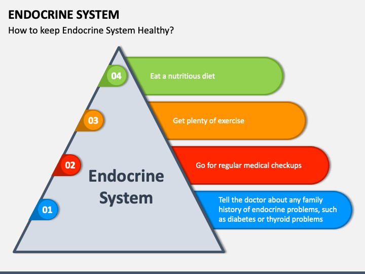 Endocrine System PowerPoint And Google Slides Template - PPT Slides