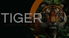 Tiger Presentation Animated Presentation - SketchBubble